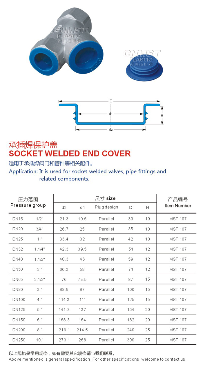 Socket Welded End Cover